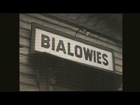 Białowieża 1943 rok. Film absolutnie sensacyjny