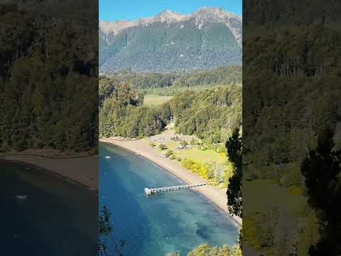 Cuando Villa La Angostura se tiñe de amarillo, nace el amor!😍🌻