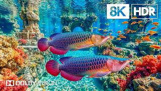 Download lagu Serene Blue Ocean Paradise in 8K HDR | Dolby Vision™ mp3