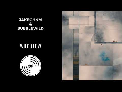 JakeGHNM & BubbleWild - Wild Flow | Honest Expression Lp | 2016