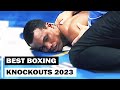 Best Boxing Knockouts of 2023