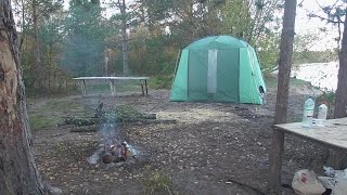 Ссылка