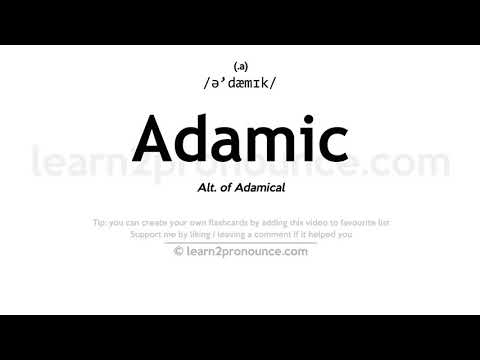 Pronunciation of Adamic | Definition of Adamic