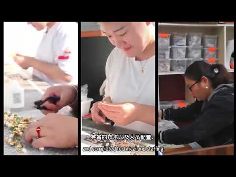 Qingdao Airsun Fashion profile