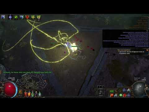 Elemental hit Raider A9 hunter | Path of Exile 3.15 |