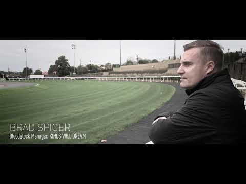 2019 Ladbrokes Cox Plate Contenders