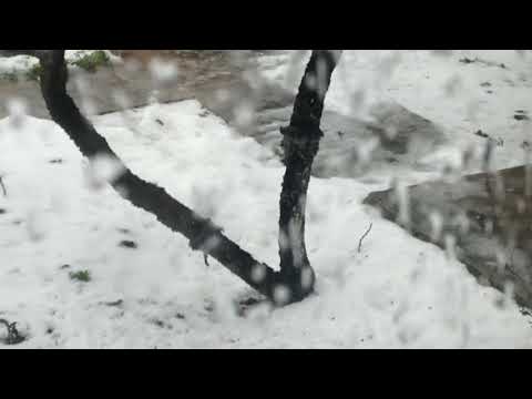 🐦🐦🐦ПРИЛЕТЕЛИ ПТИЧКИ КУШАТЬ И ДОЖДЬ НЕ ПОМЕХА 🐦🐦🐦