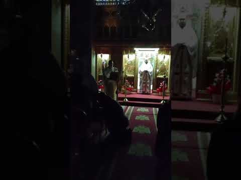 Pr.Diacon Turean Bogdan - Păstorul cel bun ( Evanghelia de la Ioan 10,9-16)