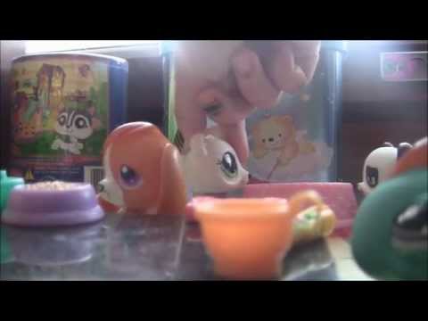 kooste videoistani (143 tilaajan special)