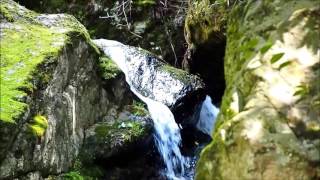 東京都檜原村 小天狗滝