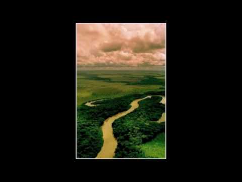 Celos - Oswaldo Bracho