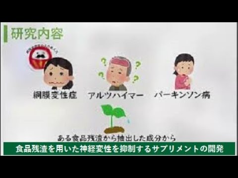 【理工学部】食品残渣を用いた神経変性を抑制するサプリメントの開発