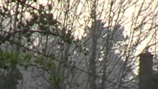 Chemtrail Mist Everywhere!