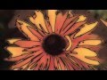 Nash & Pepper pres. Ostrega - First Scream ...