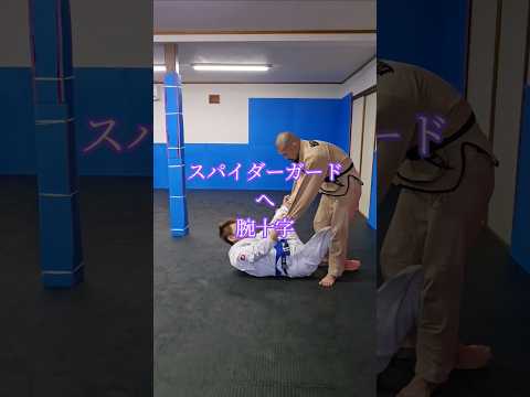 #腕十字 #スパイダーガード #ブラジリアン柔術 #bjj #jiujitsu #格闘技 #北海道 #オホーツク #北見市