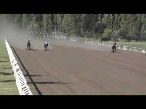 BELTRAN   14°  PISPI   11-12-22