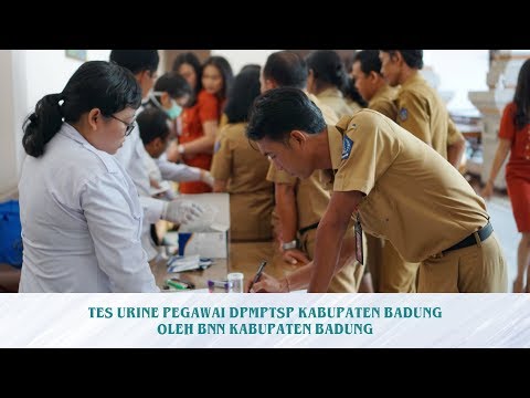 BNN BADUNG TES URINE PEGAWAI DPMPTSP KABUPATEN BADUNG