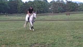 chance troting