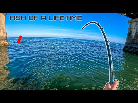 Fishing Florida’s MOST Famous Bridge… Then THIS Fish Ate 😳 (Fish of a Lifetime)
