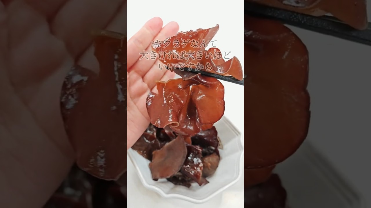 コリコリ食感がエグいキクラゲを食べる