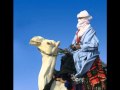 tinariwen-le chant des fauves