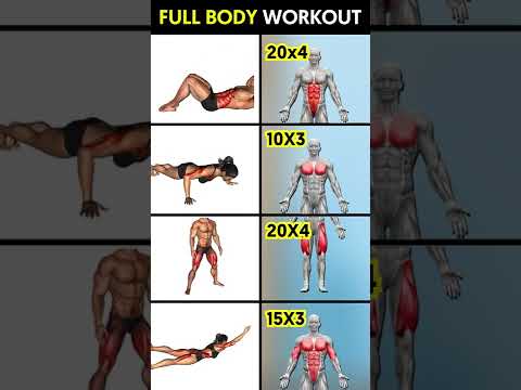 Try this effective full-body workout! 🔥 #shorts