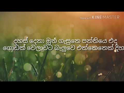 Ashir wadasoyo dahas dena muna