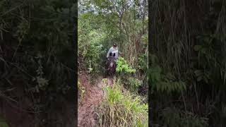caiu no barranco