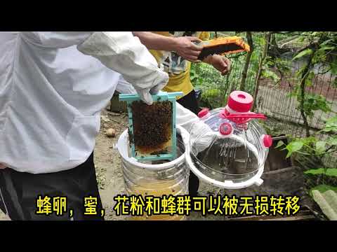 , title : '塑料瓶养蜂（Bottle-to-Bottle Honey Production）'