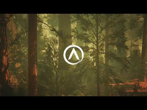 Progressive House & Melodic Techno Mix of 2021 by ANTDUAN