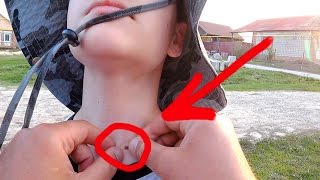 Поймать на удочку морского котика
