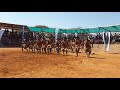 Pela Tsa Ga Kobokwe