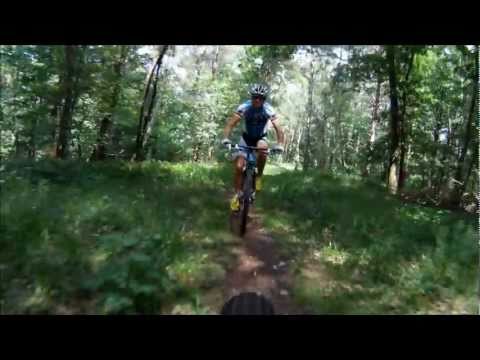 Bergamont Revox Team Carbon 2012