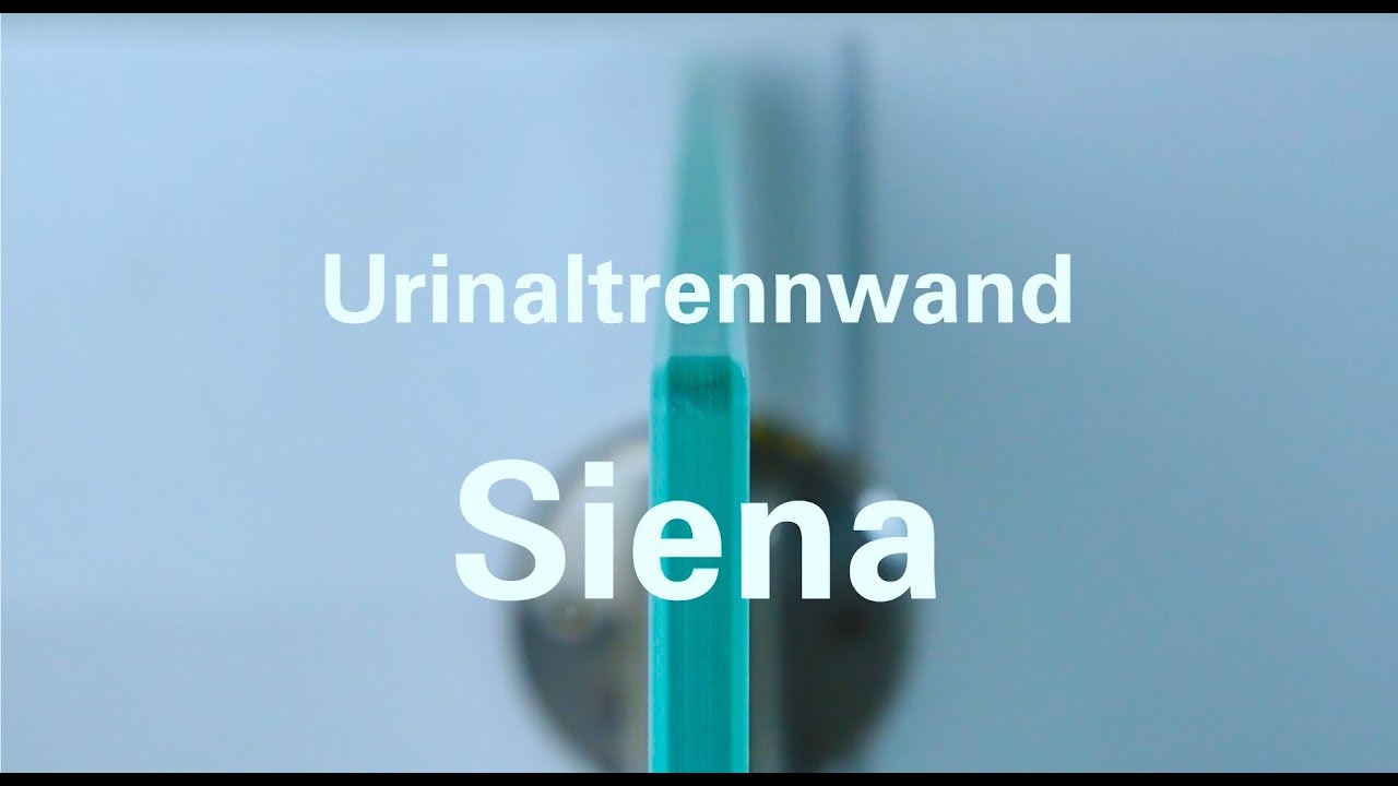 Urinal Trennwand Siena – 10 Mm ESG-Glas, Weiß Emailliert, 415 X 825 Mm, Inkl. Metallhalter, TÜV-zertifiziert