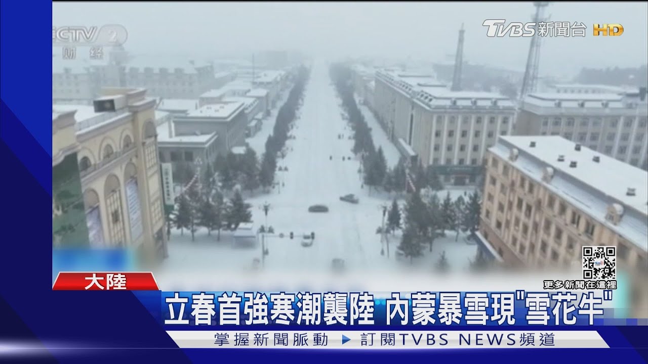 立春首強寒潮襲陸 內蒙暴雪現「雪花牛」
