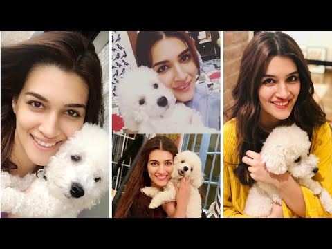 Kriti Sanon & Her LOVE For Dogs Is The MOST Adorable Thing You'll See Today | CUTEST Pictures
