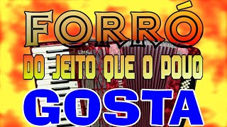 Forró do jeito que o povo gosta, piseiro nerão, xote, pra arrastar o pé, hits song RS BA SP RJ MG