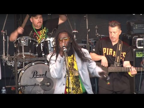 Bob Wasa & The Positive Roots Band Sunshine Reggae Festival 2015