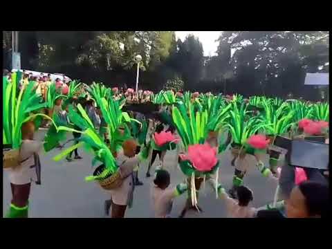 Pantatan Festival Zarraga Iloilo Philippines