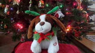 Shout Merry Christmas