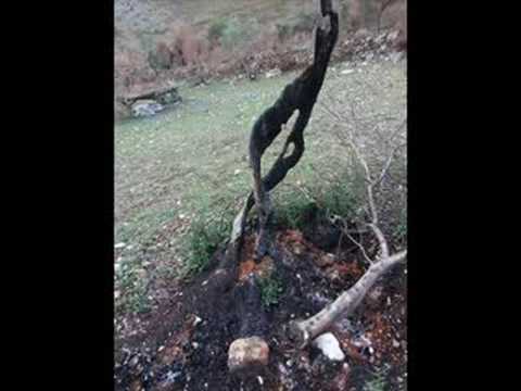 PIPPO POLLINA - Chernobyl 10 anni dopo