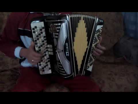 Akkordeon Dise Minor Italien