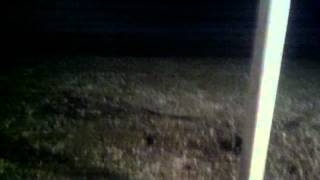 preview picture of video 'March 2, 2012 Hailstorm in Florissant, MO'