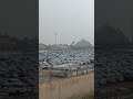 channel