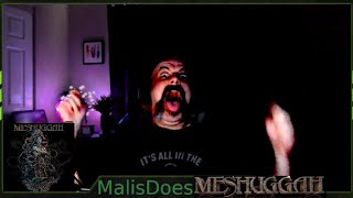Malis Does Meshuggah -- Into Decay
