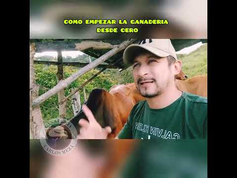 How to start Livestock Farming as a beginner 🤔🤠🤝🌎