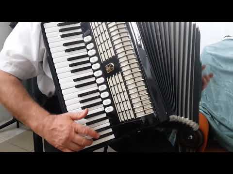 Hohner Verdi V 120 bass Musette LMMM Accordion Akkordeon Fisarmonica + Case (1)