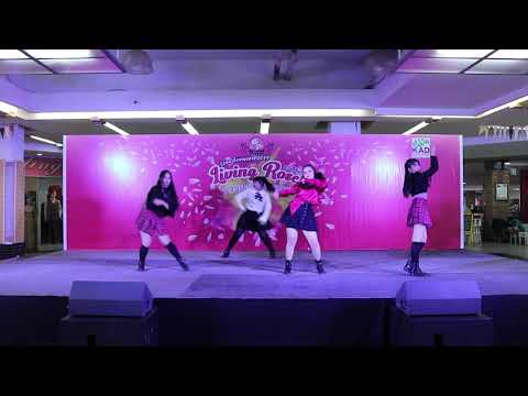 190323 N2P cover BLACKPINK - YokoAn's Love Forward 'Living Rose' 2019