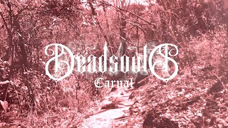 Vader - Carnal (DeadSouls Cover)