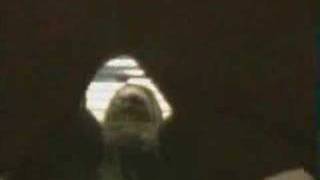 Everybody Wanna Be a Gangsta